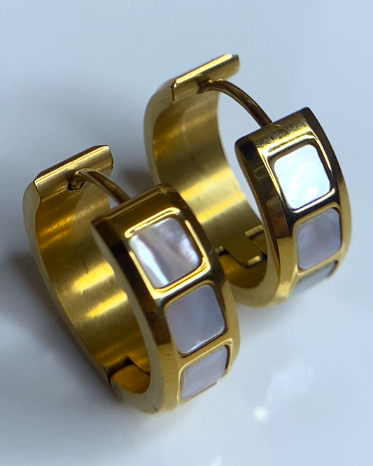 Luxury Whitetone 18K Gold Plated Earrings
